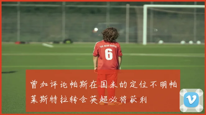 曾加评论帕斯在国米的定位不明帕莱斯特拉转会英超必将获利
