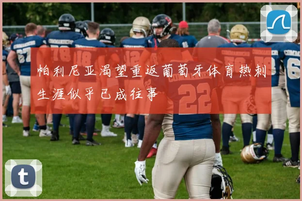 帕利尼亚渴望重返葡萄牙体育热刺生涯似乎已成往事