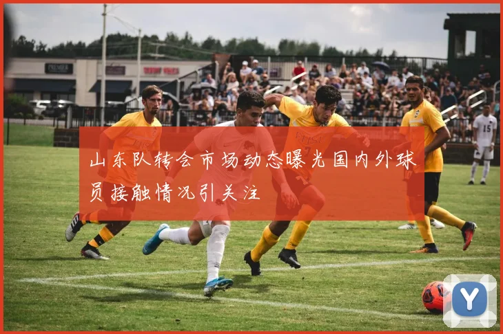 山东队转会市场动态曝光国内外球员接触情况引关注